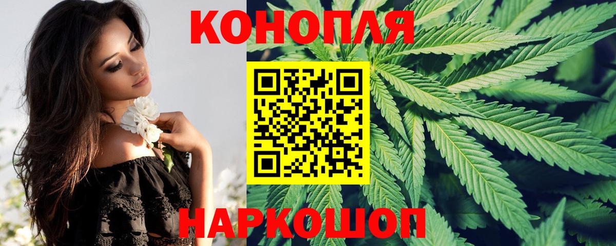 Конопля OG Kush  Бошки марихуана план  Вход с VPN  Марихуана гибрид  Кашира 